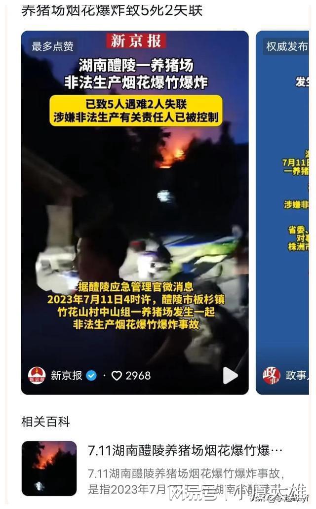 湖南一养猪场爆炸致7死 10人获刑